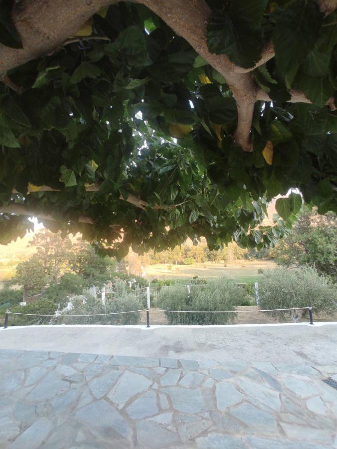 House Moschα Villa Andros Town Exterior photo